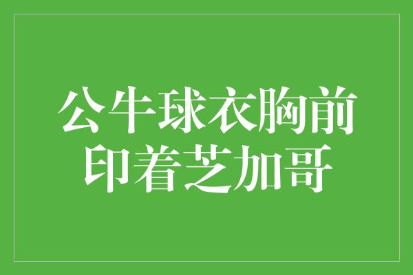 公牛队！爱我芝加哥！公牛球衣胸前印着芝加哥