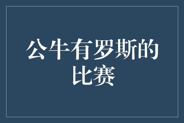 公牛有罗斯的比赛