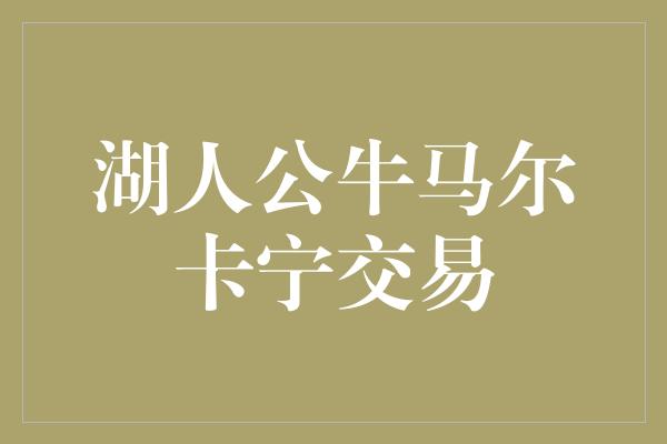 湖人公牛马尔卡宁交易