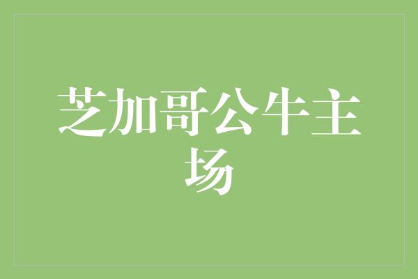 芝加哥公牛主场