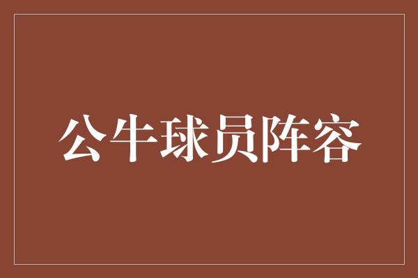 公牛队！公牛球员阵容 新一代强者崛起