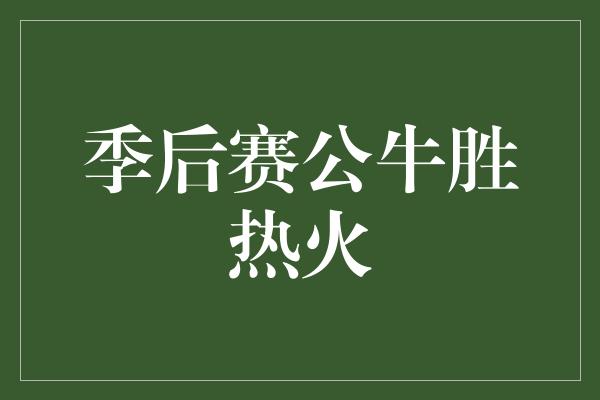 公牛队！季后赛惊艳表现！公牛逆袭胜过热火