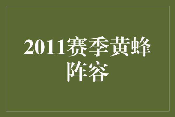 2011赛季黄蜂阵容