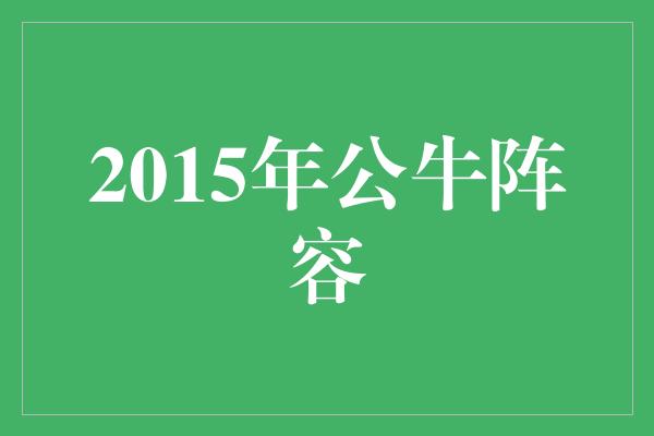 公牛队！2015年公牛阵容 重塑辉煌之路