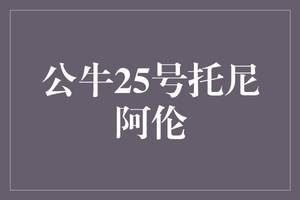 公牛队！托尼·阿伦 传奇公牛25号球衣的化身