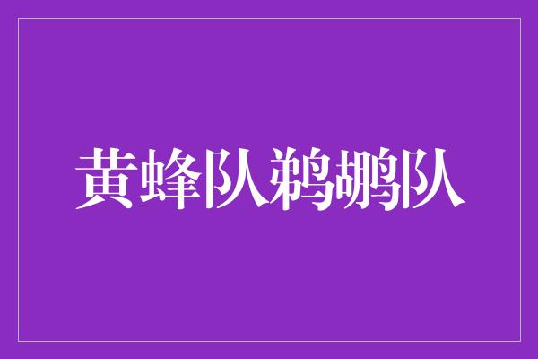 鹈鹕！共舞篮球赛场，黄蜂队鹈鹕队引领新一轮风潮