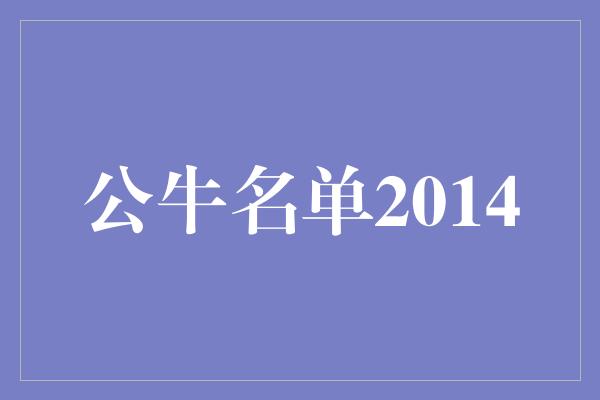 公牛队！回顾2014公牛名单 磅礴力量与团队拼搏的完美融合