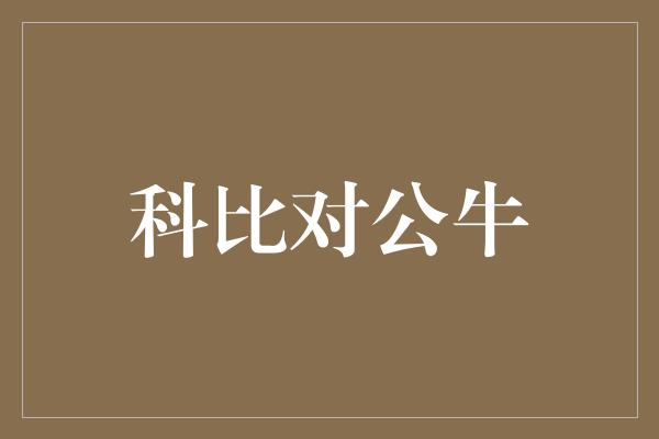 公牛队！科比与公牛 传奇对决