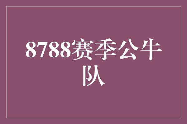 8788赛季公牛队