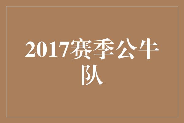 公牛队！重返巅峰，2017赛季公牛队展现新气象