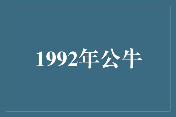 1992年公牛