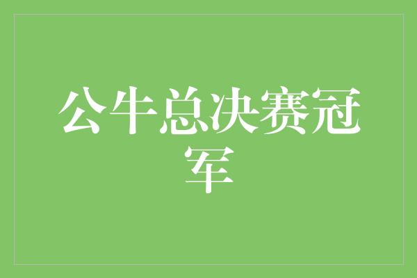 公牛队！公牛力克竞争对手，夺得总决赛冠军！