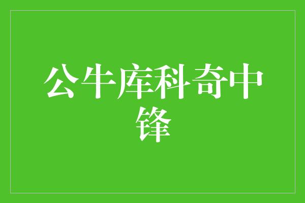 库科奇！公牛库科奇中锋 实力与领导力的完美结合