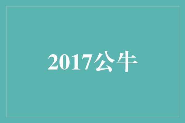 2017公牛