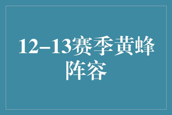 12-13赛季黄蜂阵容