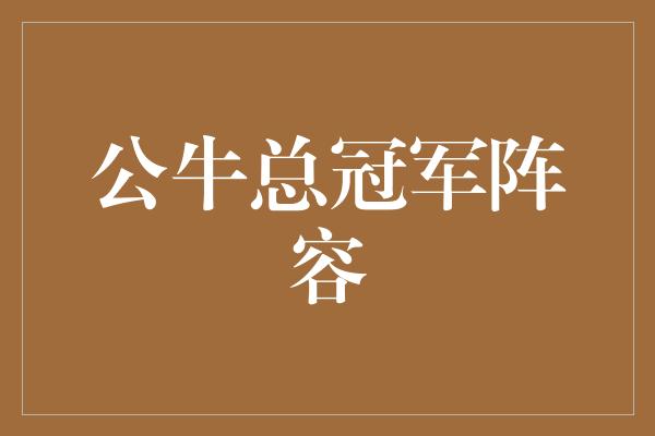 公牛队！公牛总冠军阵容 力量与团结的化身