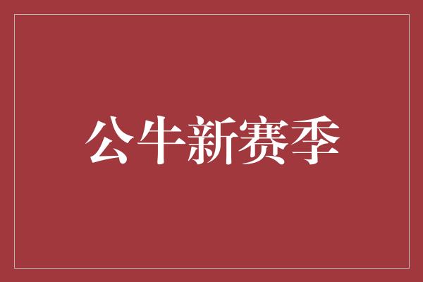 公牛队！公牛新赛季 重振雄风，再度崛起