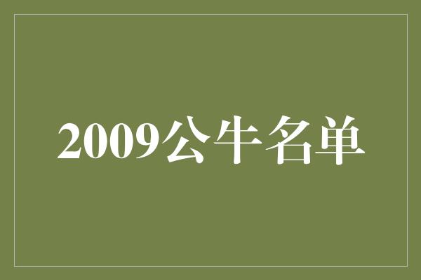 公牛队！回顾2009年公牛队名单，见证传奇之路