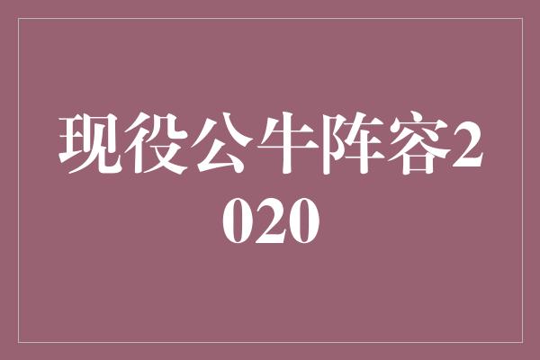 现役公牛阵容2020