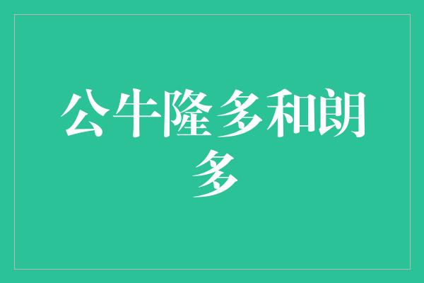 公牛队！公牛的隆多与朗多 两位传奇球员的不凡之路