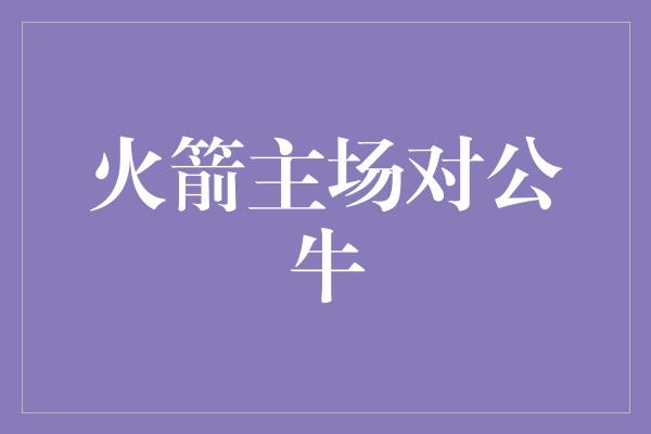 公牛队！火箭主场迎战公牛，点燃激情篮球盛宴