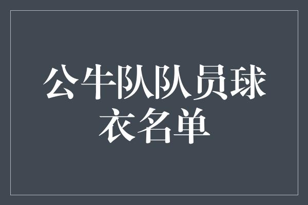 公牛队队员球衣名单