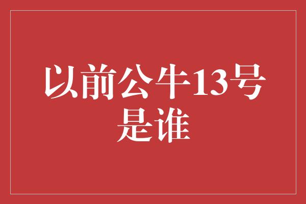 以前公牛13号是谁