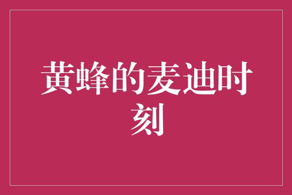 骄傲！翱翔天空的黄蜂，麦迪时刻永不熄灭