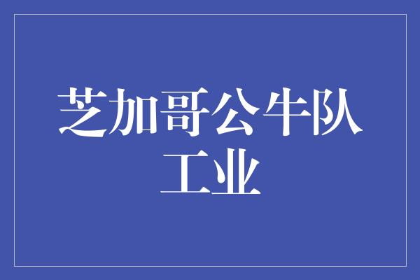 芝加哥公牛队工业