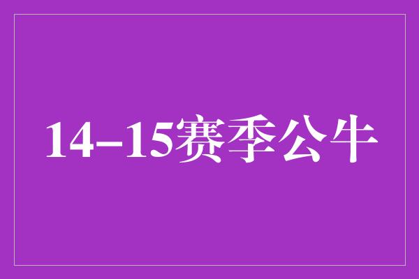 14-15赛季公牛