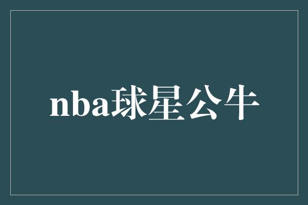 公牛队！回顾NBA历史上的公牛传奇球星们