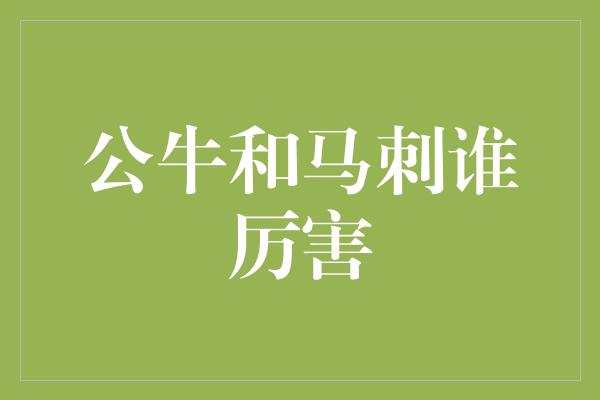 马刺！公牛与马刺 鏖战篮坛，谁能称霸？