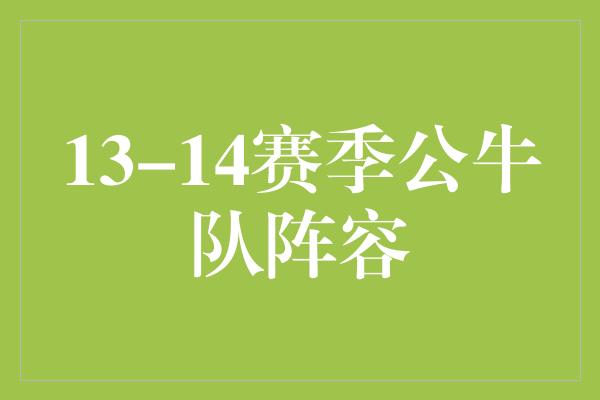 13-14赛季公牛队阵容