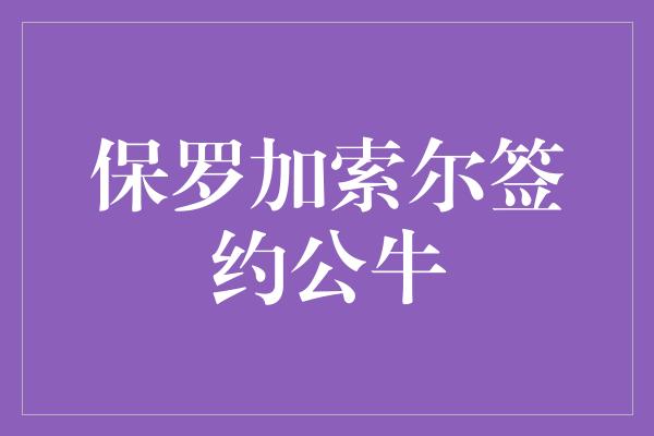 保罗加索尔签约公牛