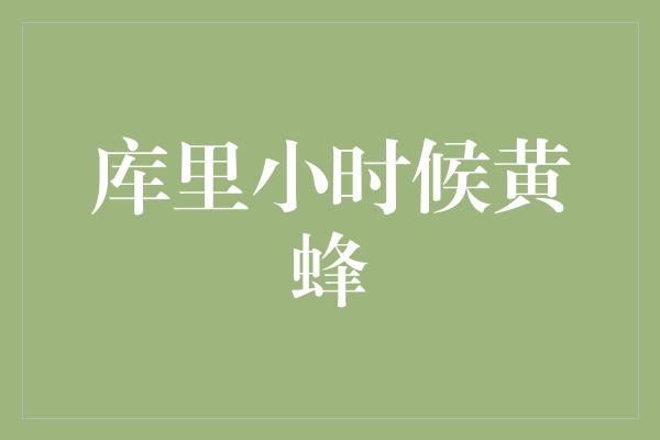 竞争意识！从黄蜂到勇士，库里的成长之路