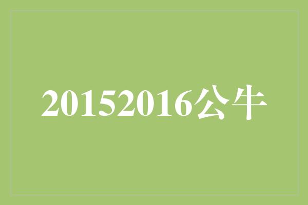 公牛队！逆袭之路，2015-2016公牛的传奇故事