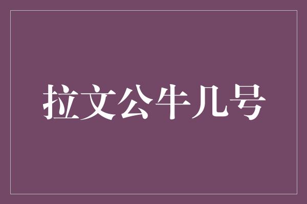 公牛队！拉文公牛几号