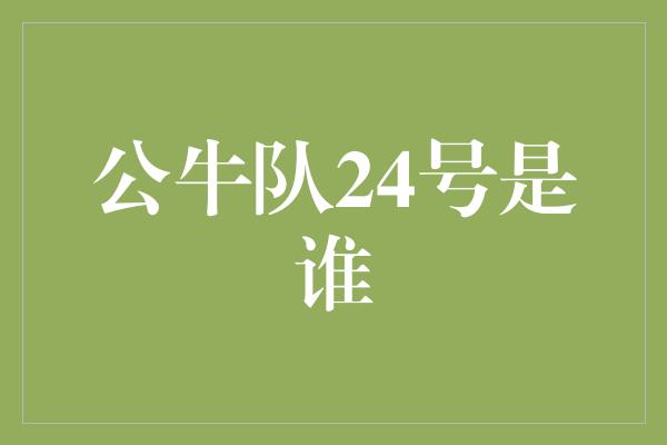 公牛队！揭秘公牛队24号球员的神秘身份