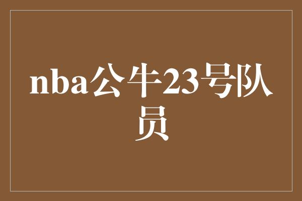 nba公牛23号队员