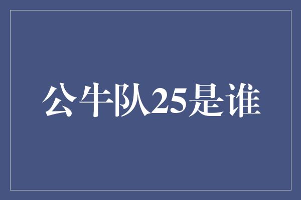 公牛队！探寻公牛队25号球员的身影