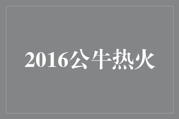 公牛队！2016公牛热火 一场激动人心的对决