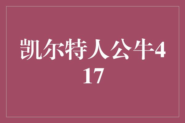 凯尔特人公牛417