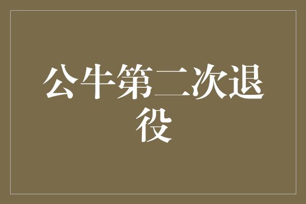 公牛队！重返传奇！公牛第二次退役，再续辉煌篇章