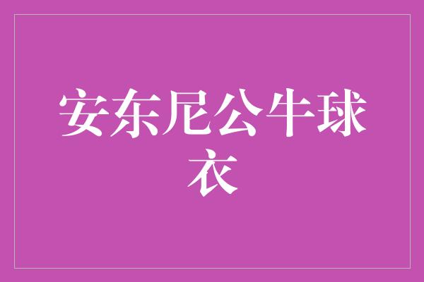 象征！狂热球迷的荣耀之选-安东尼公牛球衣