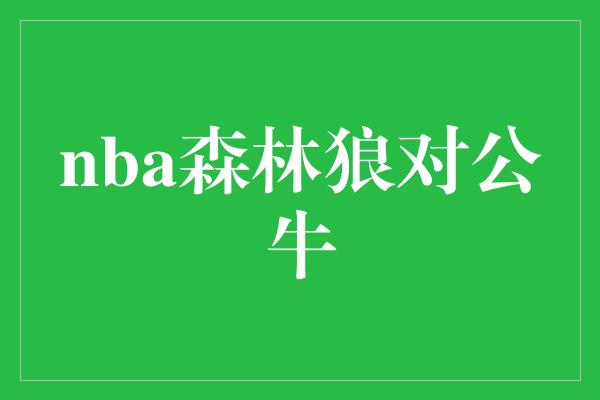 nba森林狼对公牛