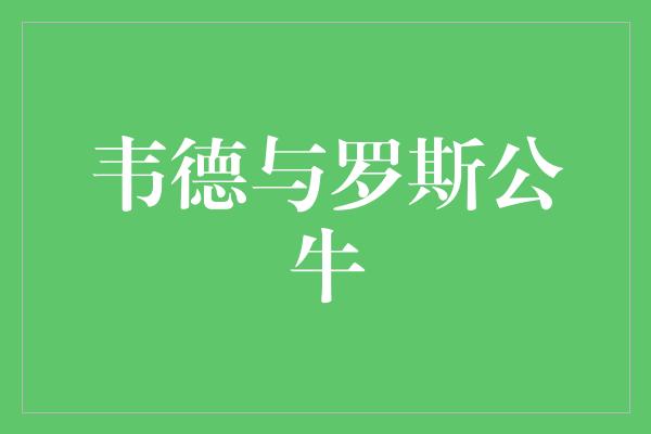 韦德与罗斯公牛