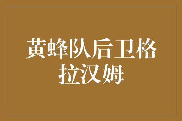 潜力！重返巅峰！黄蜂队后卫格拉汉姆的不屈精神