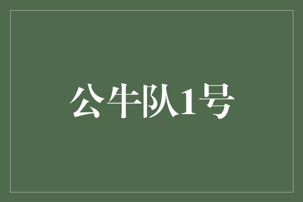 公牛队！公牛队1号 打破枷锁，闪耀篮球舞台