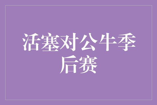 活塞对公牛季后赛