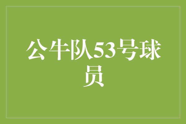 公牛队！公牛队53号球员 勇往直前，超越极限